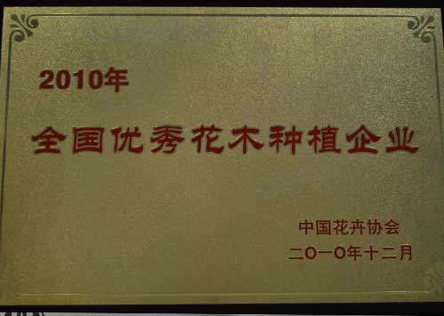 全国优秀花木种植企业